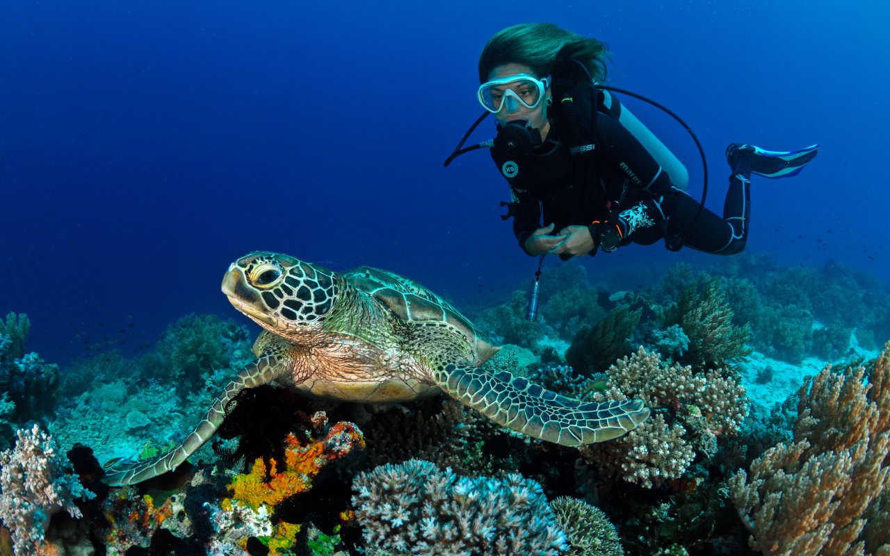 Best diving sites