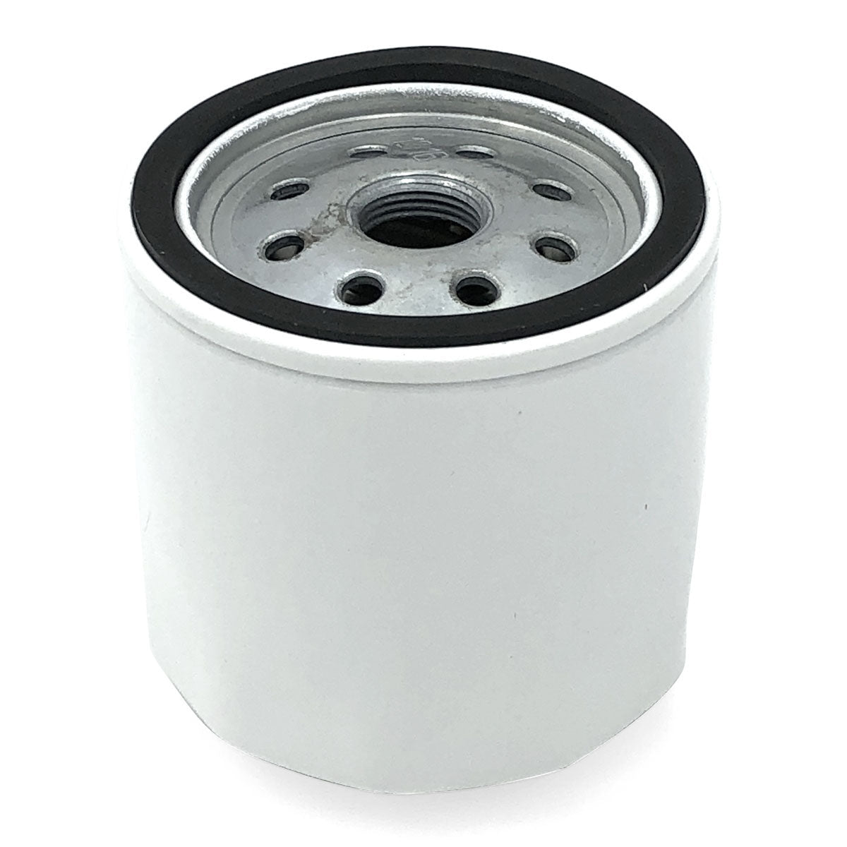 Trem Filtro olio fuoribordo N0104006