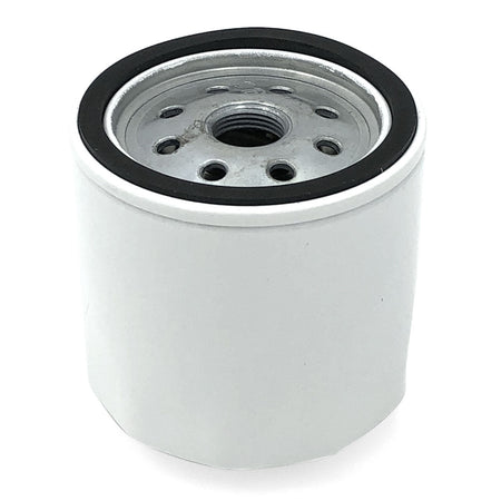 Trem Filtro olio fuoribordo N0104006