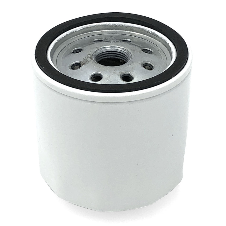 Trem Filtro olio fuoribordo N0104006