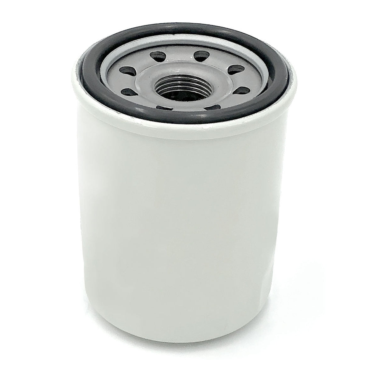 Trem Filtro olio fuoribordo N0190115