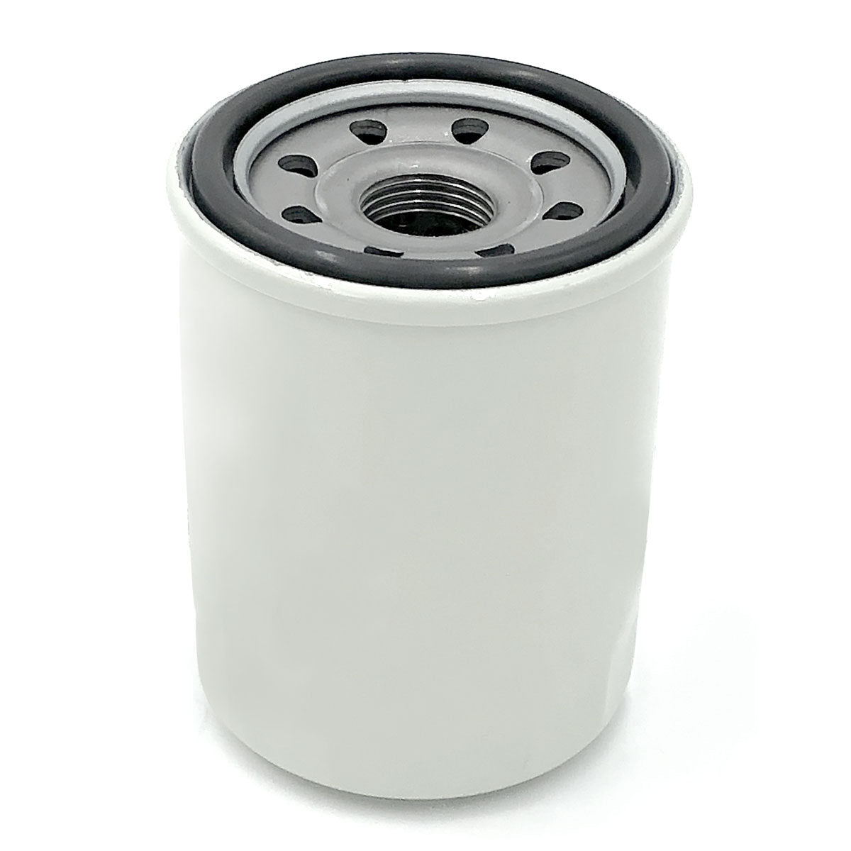 Trem Filtro olio fuoribordo N0190115