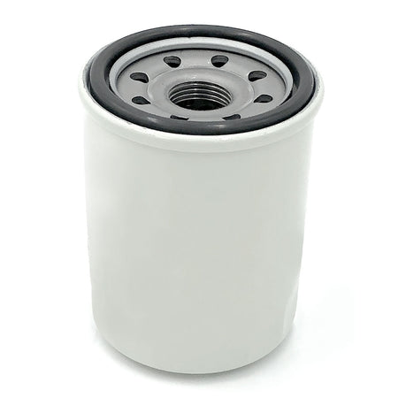 Trem Filtro olio fuoribordo N0190115