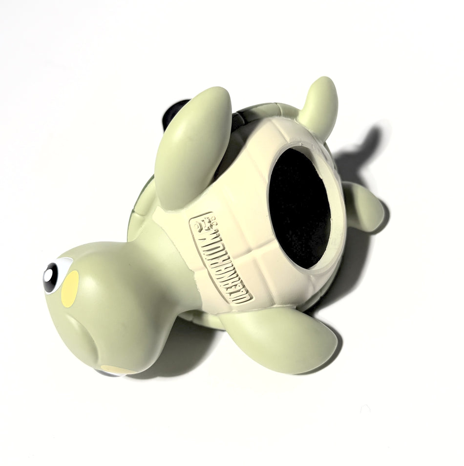 Oceanarium Porta Octopus Tartaruga marina