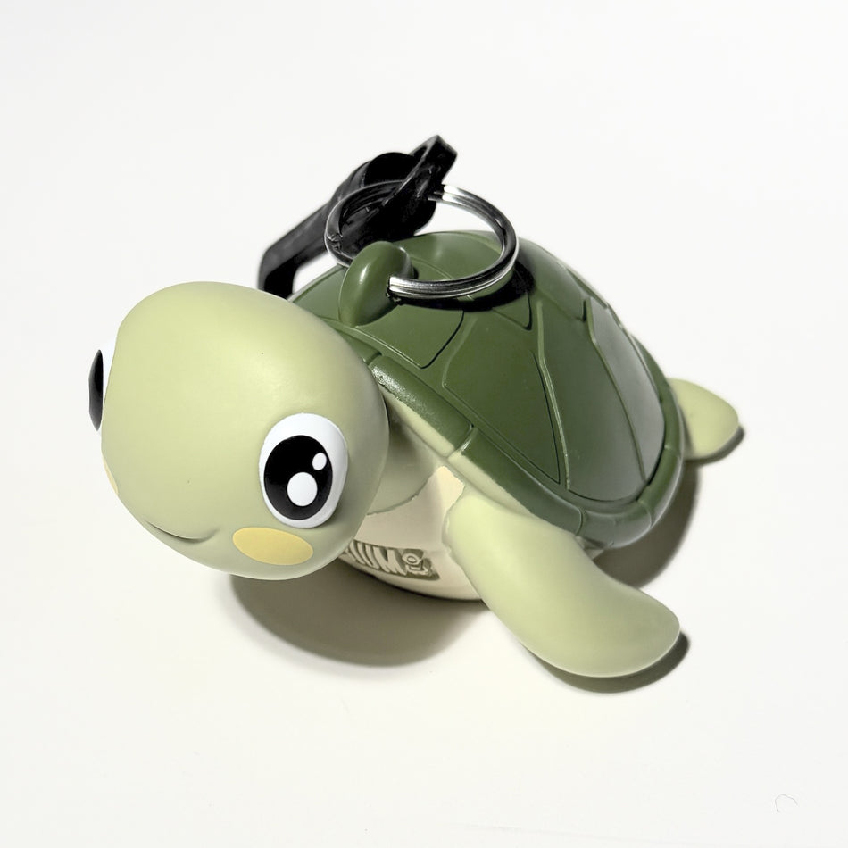 Oceanarium Porta Octopus Tartaruga marina