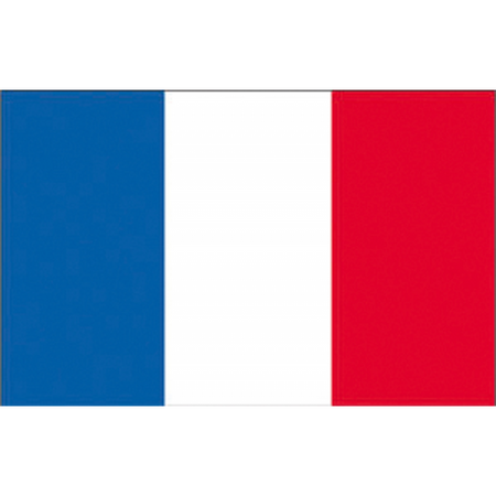 Bandiera Francia Cm.20X30