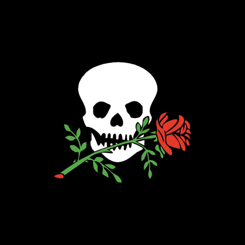 Bandiera Ospite A Bordo Cm.20X30