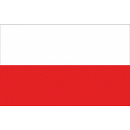 Bandiera Polonia Cm.20X30