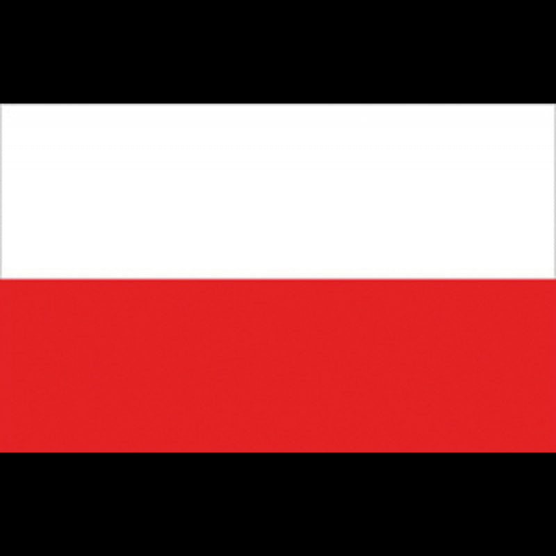 Bandiera Polonia Cm.30X45