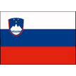Bandiera Slovenia Cm.40X60