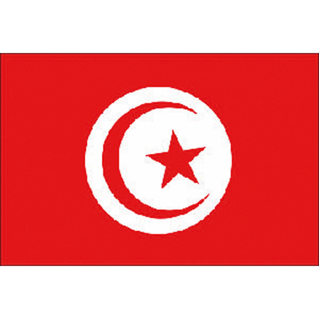 Bandiera Tunisia Cm.20X30