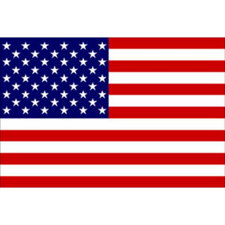 Bandiera Usa Cm.20X30