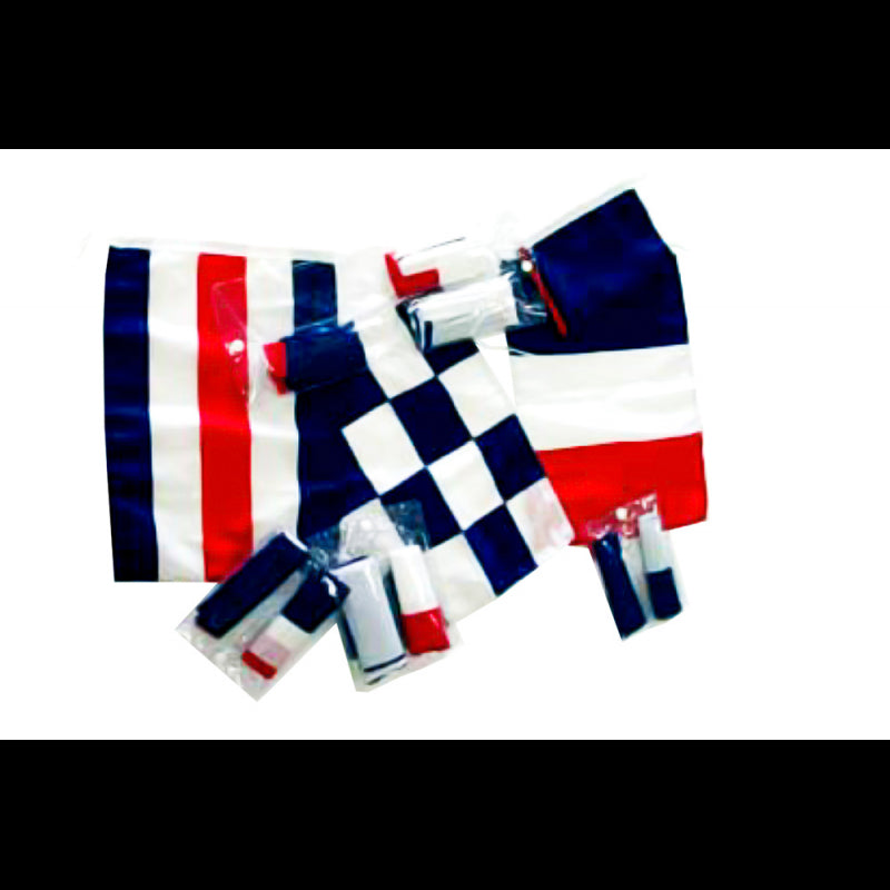 Bandiere Francia Regolamen.30X40