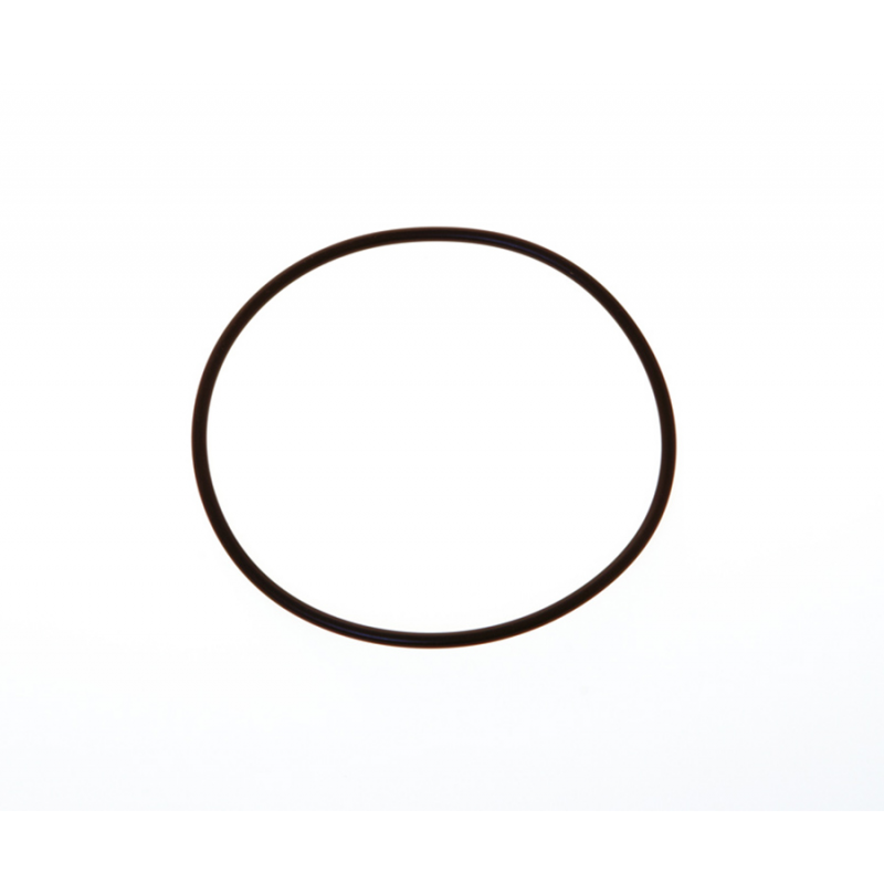 Guidi O-Ring Ricambio per Filtro Acqua