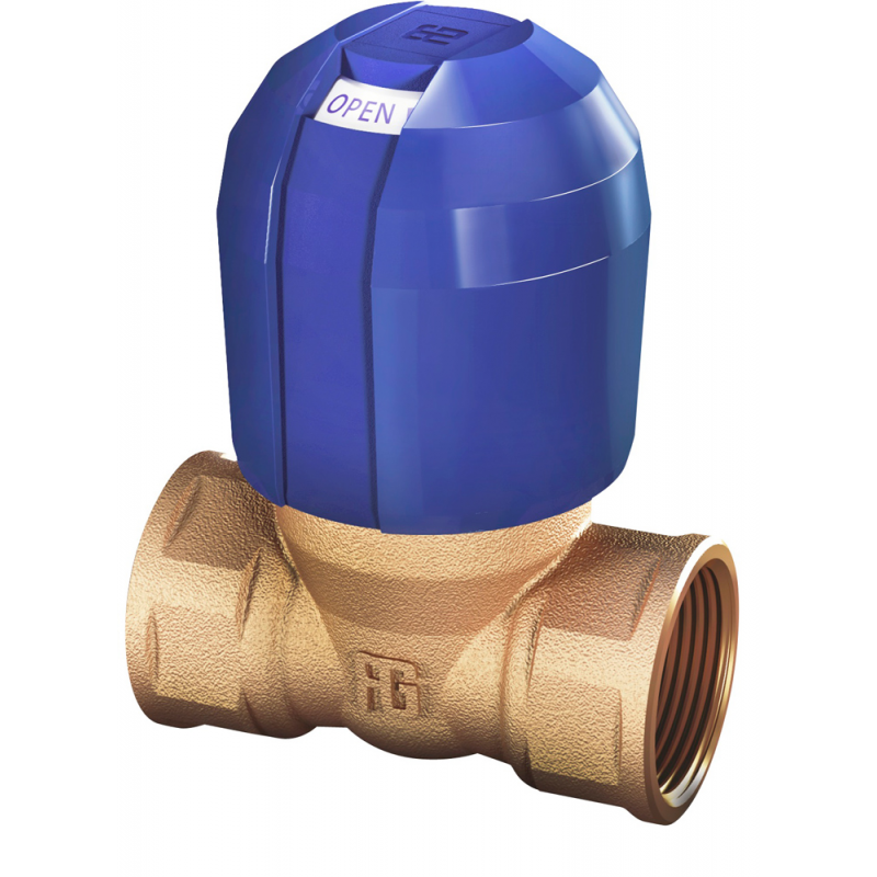 Guidi Valvola in Bronzo Antibloccaggio